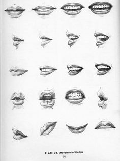 Classical Drawing, Mouth Drawing, 얼굴 드로잉, Drawing Heads, Lips Drawing, 인물 드로잉, Sketchbook Pages, Arte Sketchbook, Ink Drawings