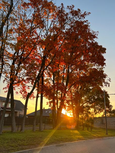 Autumn sunrise aesthetic Fall Sunrise Aesthetic, Autumn Sunrise Aesthetic, Autumn Morning Aesthetic, Fall Morning Aesthetic, Fall Sunrise, Autumn Sunrise, Sunrise Aesthetic, Sunrise Mountain, Morning Aesthetic