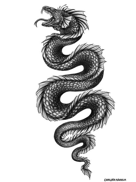 Hydra Monster Tattoo, Sea Dragon Tattoo Design, Water Serpent Tattoo, Sindragosa Tattoo, Water Snake Tattoo, Viking Snake Tattoo, Sea Snake Tattoo, Basilisk Tattoo, Sea Serpent Tattoo