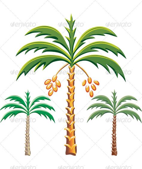 Vector three date palm trees Date Tree Drawing, Date Tree Illustration, Drawing Foliage, Date Tree, Illustration Leaves, Date Plant, Dates Tree, Palm Tree Drawing, Palm Tree Vector