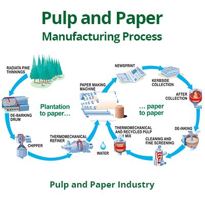 Pulp and Paper Manufacturing Process in the Paper Industry Pulp And Paper Industry, Wood Moodboard, Drawing Tasks, Visual Moodboard, Workshop Architecture, Paper Factory, Paper Machine, Paper Industry, Internal Audit