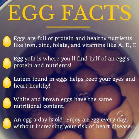 Egg Jokes, Benefits Of Eggs, Benefits Of Eating Eggs, Egg Facts, Health Benefits Of Eggs, Preposition Worksheets, Egg Nutrition, Egg Benefits, Food Health Benefits