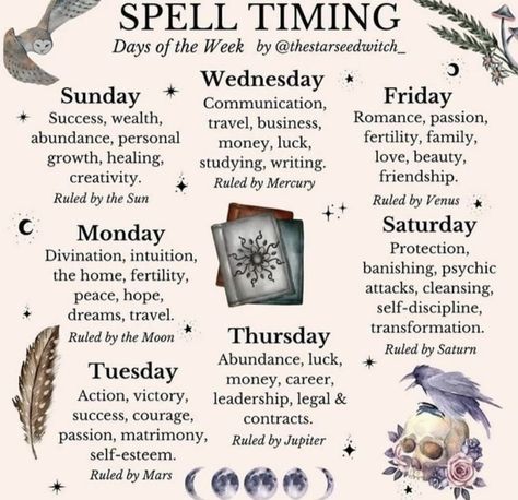 Grimoire Book Blessing, Spell Timing, Gremlin Core, Wiccan Tools, Witches Journal, Witchy Ideas, Moon Things, Personal Philosophy, Manifestation Spells