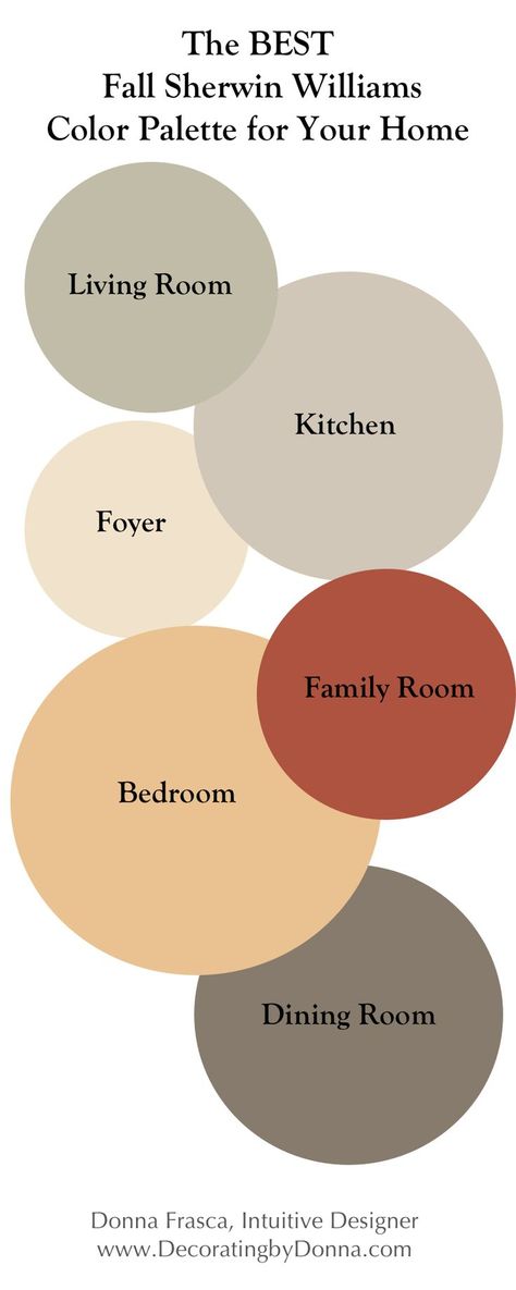 Fall Paint Colors, Sherwin Williams Color Schemes, Basement Remodel Ideas, Basement Decoration, Valspar Colors, Sherwin Williams Color Palette, Sherwin Williams Colors, Fresh Color Palette, House Color Schemes