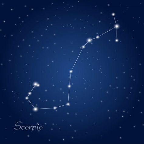 25 Scorpio Constellation Tattoo Designs, Ideas and Meanings - Tattoo Me Now Scorpio Constellation Tattoo, Scorpio Constellation Tattoos, Scorpio Constellation, Celestial Tattoo, Shoulder Blade Tattoo, Timeless Tattoo, Tattoo Me, The Thirteen, Scorpio Tattoo