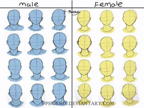 Male and Female face shape reference by S-Phoenix.deviantart.com on @DeviantArt Male Vs Female Face Drawing Reference, Face Shapes Drawing Female, How To Draw Square Face, Men Face Shape Drawing, Male Face Shape Drawing Reference, Male Vs Female Face Drawing, Face Porpotion Reference, How To Draw Masculine Faces, Face Shape Drawing Reference