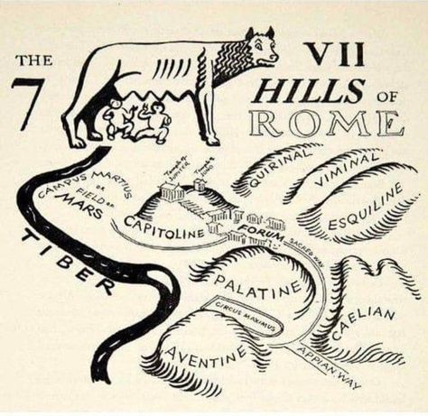 Teaching Latin, Rome History, Romulus And Remus, Latin Language, Roman Legion, Seven Hills, Roman History, History Class, Sixth Grade