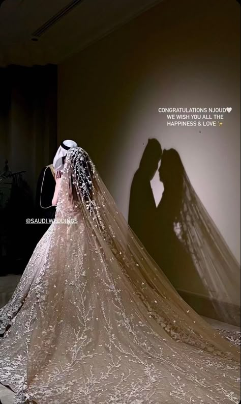 Arab Wedding Dress, Arabian Wedding, Bride Dress Simple, Sparkly Wedding Dress, Wedding Planning Decor, Arab Wedding, Classy Wedding Dress, Wedding Design Decoration, Wedding Picture Poses