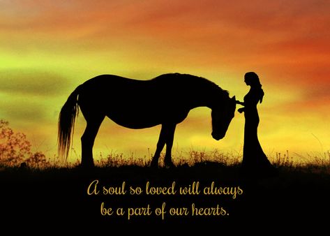 Horse Loss Sympathy, Loss Of Horse, Horse Remembrance Ideas, Horses In Heaven, Loss Of A Horse, Horse Remembrance, Horse Loss, Horse Memory, Horse Sayings