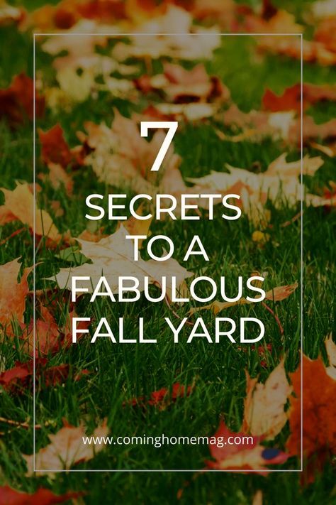 fall leaves on the grass in a yard Fall Yard Ideas, Fall Landscape Ideas, Fall Lawn, Fall Landscaping, Fall Yard, Landscaping Tips, Fabulous Fall, Yard Work, Autumn Landscape