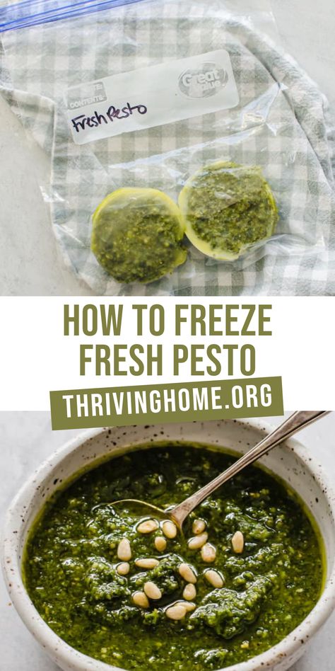 Can you freeze pesto? Absolutely! Using our 10+ years of freezer cooking experience, we are sharing anything and everything you need to know about freezing pesto. Freezer Pesto Recipe, How To Freeze Pesto Sauce, Pesto Freezer Meal, Freezing Pesto How To, How To Freeze Pesto, Freezer Pesto, Pesto Recipe To Freeze, Can You Freeze Fresh Parsley, Freezing Pesto