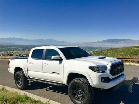 Click this image to show the full-size version. Toyota Tacoma White, Toyota Tacoma Off Road, 2023 Gmc Sierra, 2023 Toyota Tacoma, Tacoma Build, Toyota Tacoma Mods, Toyota Tacoma Trd Sport, Toyota Tacoma 4x4, Tacoma 4x4