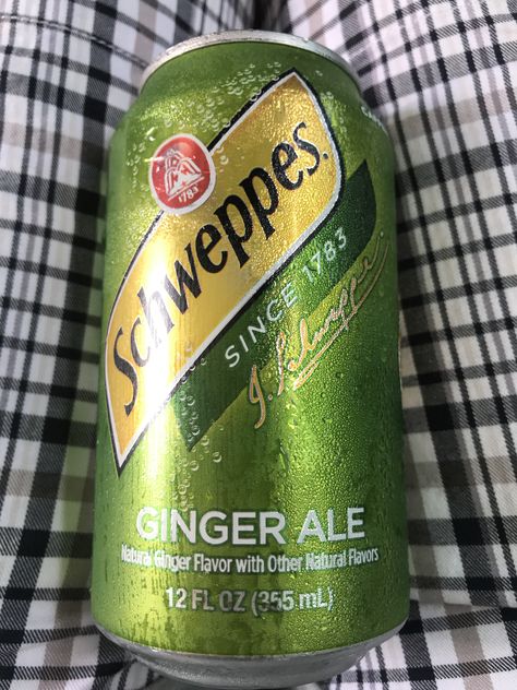 Schweppes - ginger ale Ginger Ale Schweppes, Ginger Ale Aesthetic, Mishloach Manot, Baby Moses, Big Lil, San Pellegrino, Ginger Ale, Birthday Wishlist, Candy Recipes