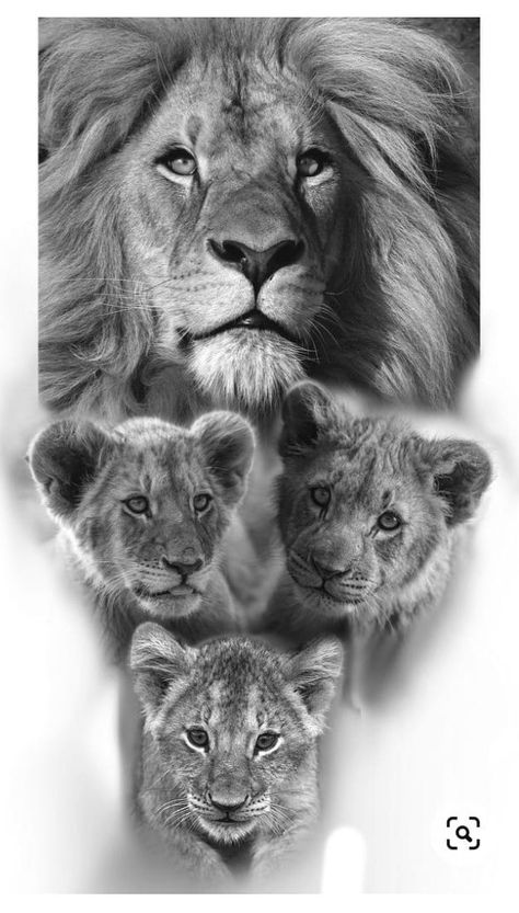 Half Sleeve Tattoos Forearm, Lioness Tattoo, Lion Family, Lion Head Tattoos, Mom Tattoo Designs, Lion Drawing, Lions Photos, Lion Tattoo Design, Chicano Drawings