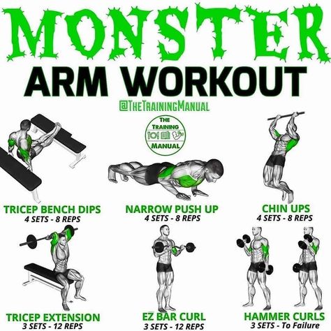 Monster Arm, Gym Workout Schedule, Arm Exercises With Weights, Dumbbell Arm Workout, Fitness Content, Body Building Tips, Arms Workout, Muscular Endurance, Gym Workout Chart