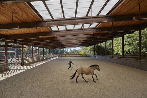 Indoor riding arena with open walls Luxury Horse Barns, Indoor Riding Arena, Modern Equestrian, Equestrian Stables, Equestrian Barns, Stable Style, Riding Arena, Classic Equine, Horse Arena