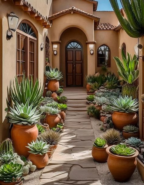 Transform your front yard with these easy and stylish succulent landscaping ideas. Perfect for small spaces, these low-maintenance garden designs will elevate your home's curb appeal while being eco-friendly and water-wise!"

#SucculentGarden#FrontYardLandscaping#SmallSpaceGardening#DroughtResistantPlants#SucculentDesign#LowMaintenanceGarden#GardeningTips#OutdoorDecor#LandscapingIdeas#Gardenin Desert Container Plants, Desert Curb Appeal, Desert Oasis Backyard Landscaping Ideas, Az Landscaping Ideas Backyards, Arizona Landscape Ideas, Succulent Landscaping Ideas, Succulent Front Yard Landscaping, Succulent Front Yard, Desert Landscaping Ideas