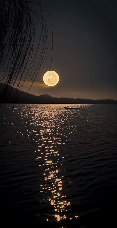 Full Moon Images, Full Moon Photography, Moon Over Water, Relaxing Pictures, Fall Landscape Photography, Nature Background Images, Night Sky Wallpaper, Moon Photography, Sky Photos