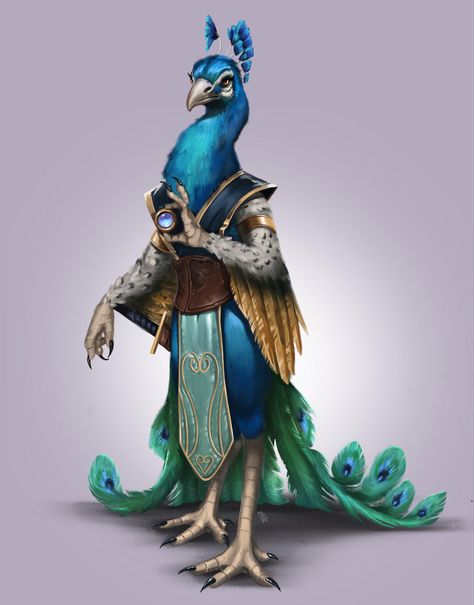 it is a Peacock Man Fantasy Peacock Art, Peacock Concept Art, Peacock Person Character Design, Aarakocra Fighter, Peacock Aarakocra, Fantasy Peacock, Bird People, Dungeons And Dragons Characters, Lunch Break