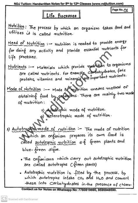 Life Processes Handwritten Notes for Class 10th Nutrition In Plants, Essay Outline Template, Science Chart, Notes Life, Outline Template, Physics Notes, Nursing Student Tips, Biology Facts, Study Flashcards