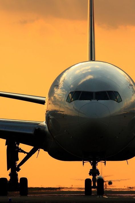 JAL - Japan Airlines Boeing 777-246(ER) JA705J Cargo Plane, Airplane Wallpaper, Airplane Photography, Boeing Aircraft, Passenger Aircraft, General Aviation, Boeing 777, Commercial Aircraft, Civil Aviation