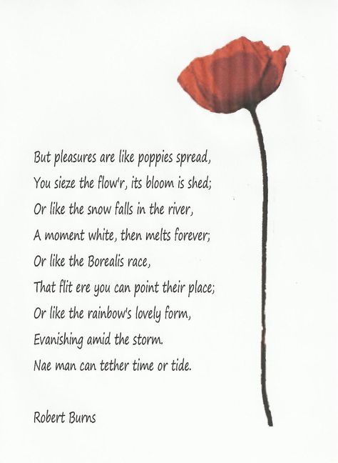 An brief reflective moment in the middle of Robert Burns' riotous poem, Tam O'Shanter. Rabbie Burns, Scottish Poems Beautiful, Robbie Burns Poems, Fire And Ice Poem Robert Frost, Robert Burns Poems, Robert Frost Poem, Robert Burns Day, Robbie Burns Day, Scottish Poems