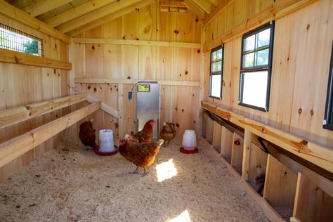 How To Convert A Shed Into A Chicken Coop, Chicken Coops Made From Sheds, Inside Chicken Coop Ideas Design, Shed Turned Into Chicken Coop, Converting A Shed Into A Chicken Coop, How To Turn A Shed Into A Chicken Coop, Turn A Shed Into A Chicken Coop, Old Shed Chicken Coop, Converting Shed To Chicken Coop