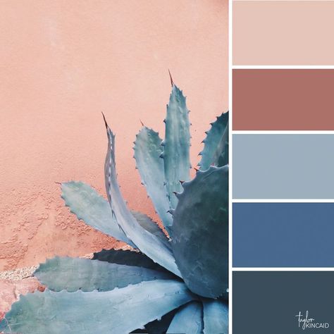 Desert Color Palette, Paint Color Combos, Best Color Schemes, Desert Colors, Blue Plants, Desert Design, Color Schemes Colour Palettes, Light Shadow, Rustic Blue