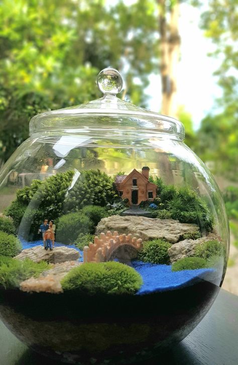 How to Make a Terrarium Fairy Garden Diy Terrarium Fairy Garden, Miniature Fairy Gardens Terrarium, Tropical Terrarium Ideas, How To Make Garden, How To Make A Fairy Garden, How To Make A Terrarium, Fairy Terrarium Ideas, Micro Terrarium, Terrarium Ideas Unique