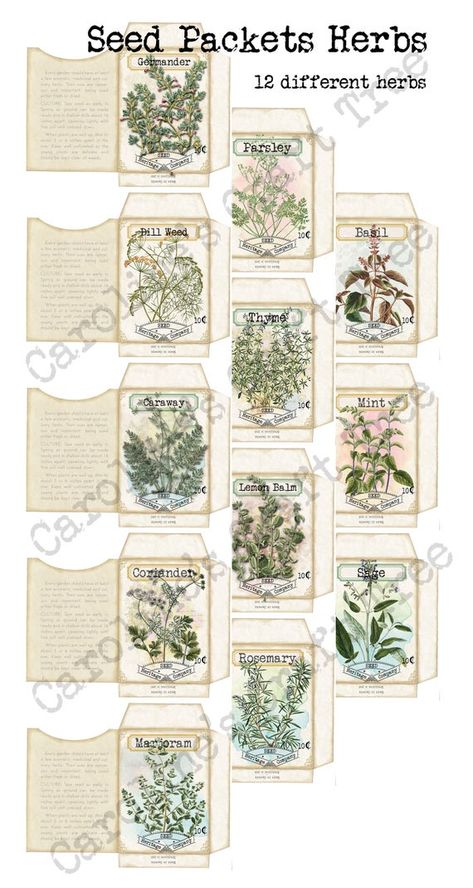 Junk journal digital kit faux vintage herb seed packets great | Etsy Craft Tree, Crafting Gifts, Seed Packaging, Journaling Kits, Seed Pack, Journal Digital, Herb Seeds, Digital Kit, Seed Packets