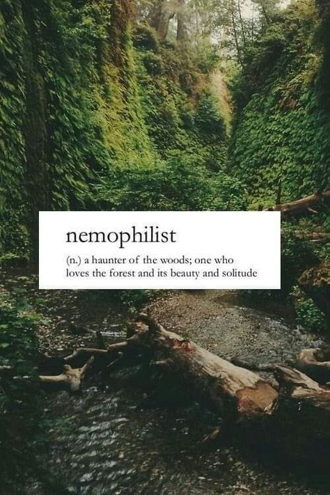 Nemophilist Aesthetic, Beautiful Nature Words, Forestry Aesthetic, Forest Quotes, Green Academia, Nature Words, Unique Words Definitions, Words That Describe Feelings, Uncommon Words