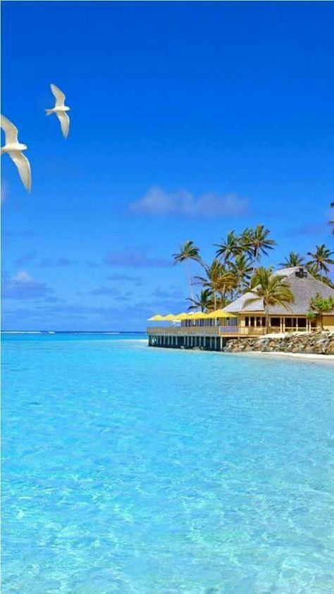 Fiji Islands Visit Places, Fiji Islands, Beach Paradise, Destin Beach, Vacation Places, Places Around The World, Vanuatu, Most Beautiful Places, Blue Water