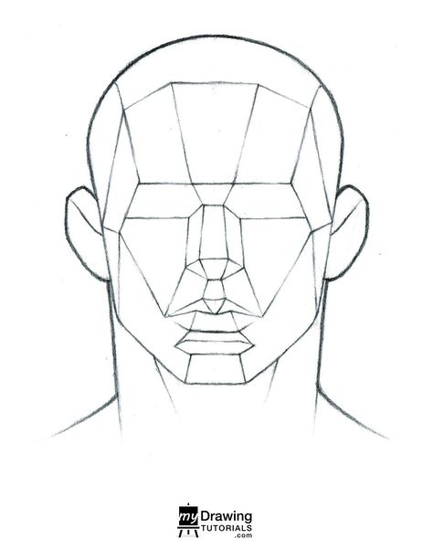 Loomis Method Head Front View, Front Face Reference Drawing, Planes Drawing, Face Structure Drawing, Asaro Head, Face Planes, Front Portrait, Human Face Drawing, Planes Of The Face