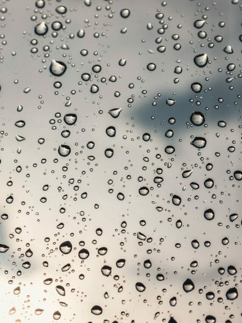 12 Ways to Stop Condensation in an RV | RV Inspiration Window Condensation, Rv Windows, Truck Bed Camping, Coffee Culture, Truck Bed, Mold And Mildew, Rv