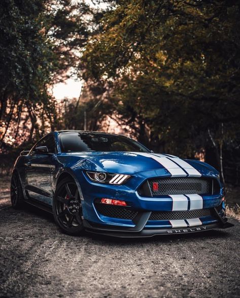 Bad-ass Ford Mustang Shelby GT350 Ford Mustang Wallpaper, Mobil Mustang, Мотоциклы Harley Davidson, Shelby Gt350r, Mustang Wallpaper, Mustang Car, Shelby Gt350, Shelby Mustang, Aesthetic Cool