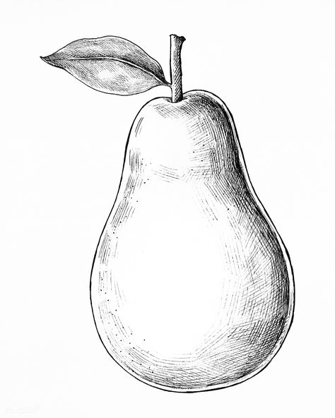 Hand drawn fresh pear fruit | premium image by rawpixel.com Pear Drawing Pencil, Printmaking Methods, Healthy Drawing, Strawberry Texture, Pear Drawing, Pineapple Drawing, Fruit Sketch, Pineapple Vector, Basic Sketching