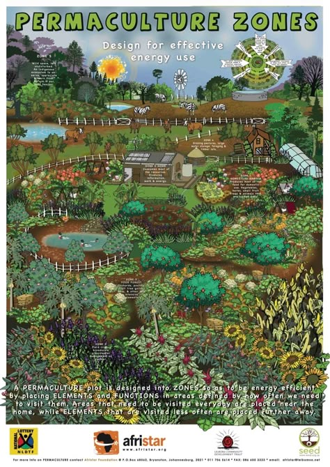 Food Posters, Permaculture Gardening, Permaculture Design, Aquaponics System, Food Forest, Forest Garden, Food Garden, Community Gardening, Urban Farming