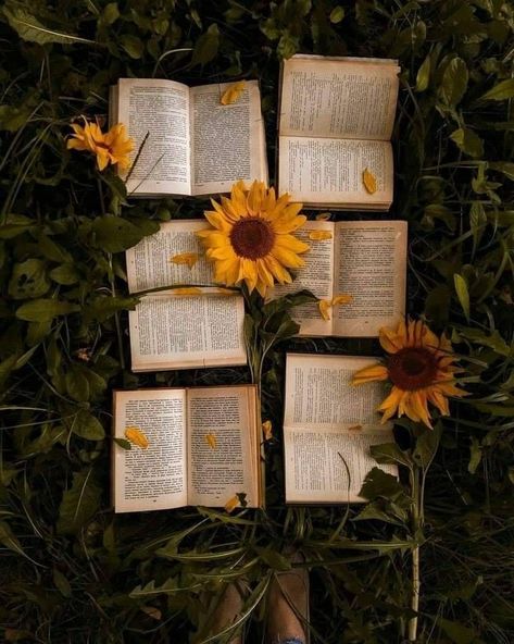 #books Aesthetic Book Wallpaper, Book Flowers, Sunflower Wallpaper, Book Wallpaper, Flower Phone Wallpaper, Photography Wallpaper, Aesthetic Images, Book Photography, Iphone Wallpapers