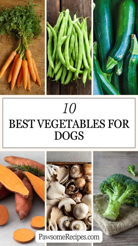 10 Best Vegetables for Dogs - Pawsome Recipes Safe Veggies For Dogs, Dog Friendly Vegetables, Veggies Dogs Can Eat, Vegetable For Dogs, Veggies For Dogs, Dog Food Recipe, Dog Safe Vegetables, Dog Vegetables, Protein Rich Diet