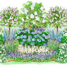 Simple Shade Garden, Hydrangea Garden Plan, Front Shade Garden, Privacy Garden Plan, Shade Garden Design Layout Backyards, Shade Garden Layout, Hydrangea Shade Garden, Partial Shade Garden Design, Corner Shade Garden Ideas