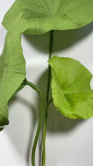 manney.paperart.design on Instagram: "Let me show you how to make a giant paper lotus leaf. #tutorial #paperflower #giantflower #floraldesign #flowerdecor #lotusleaf" Crepe Paper Leaves Tutorials, Crepe Paper Leaves, Paper Lotus, Paper Leaves, Paper Stuff, Lotus Leaves, Giant Flowers, Lotus Leaf, September 8