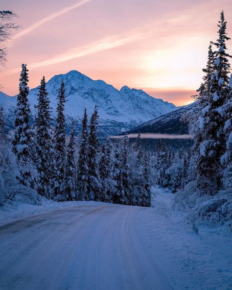 The Alaska Life on Instagram: “Our winter wonderland didn’t last long...who wants it back?! 📷: @photo_brenn ・・・ Snowwwww come baccckkkkkk #alaska #alaskan #thealaskalife…” Alaska City Aesthetic, Winter In Alaska, Alaska Astethic, Alaska Aesthetic Winter, Anchorage Alaska Aesthetic, Alaska In Winter, Alaska Honeymoon, Alaskan Landscape, Pam Godwin