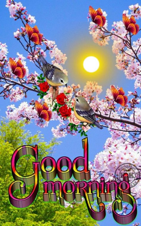 Good Morning Ji, Morning Gifs, Lovely Good Morning Images, Good Morning Flowers Rose, Good Morning Beautiful Gif, A Beautiful Morning, Cute Good Morning Images, Evening Greetings, Beautiful Good Night Images