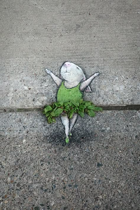 Street Chalk Art, Chalk Artist, David Zinn, Brick Art, Sidewalk Chalk Art, Sidewalk Art, Amazing Street Art, Chalk Drawings, Murals Street Art