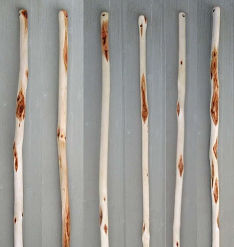 5 Favorites: Walking Sticks to Take on the Trail Blackthorn Walking Stick, Diamond Willow, Willow Sticks, Fashionable Canes, Handmade Walking Sticks, Walking Staff, Hiking Staff, Palm Springs Hotels, Canes And Walking Sticks