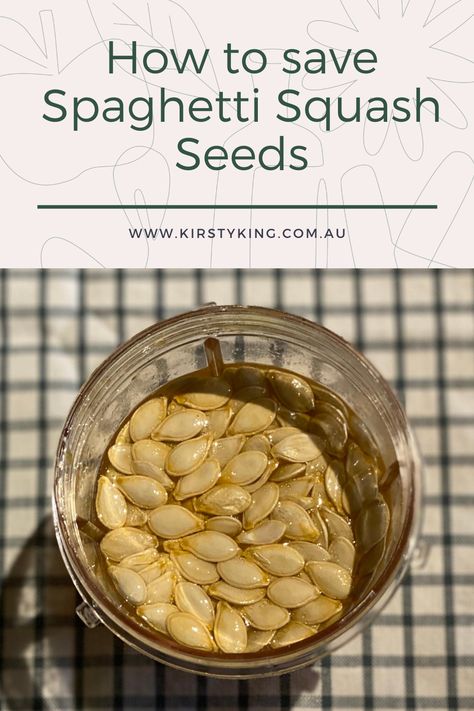 Have you fallen in love with Spaghetti Squash and want to save some seeds to grow for yourself. Here is how you can easily do it. #spaghettisquash #seedsaving How To Can Spaghetti Squash, How To Save Squash Seeds, Spaghetti Squash Growing, How To Grow Spaghetti Squash, Canning Spaghetti Squash, Planting Spaghetti Squash, Spaghetti Squash Plant, Recipe For Spaghetti Squash, Simple Vegan Dinner