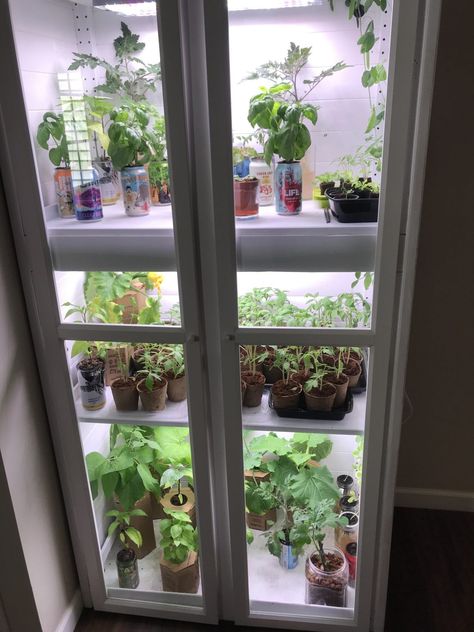 Green House Cabinet, Plant Cabinet, Taking Care Of Succulents, Greenhouse Diy, Portable Greenhouse, Build A Greenhouse, Indoor Greenhouse, Greenhouse Ideas, Greenhouse Interiors