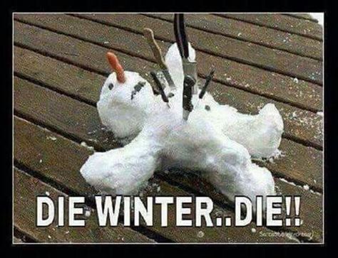 Yeah Winter Humor, Snow Humor, Winter Funny, Hate Winter, Winter Quotes, Winter Blues, Winter Fun, Bones Funny, Funny Photos