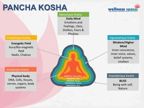 Image result for the koshas in human body Annamaya Kosha, 5 Koshas, Yoga Theory, Koshas Yoga Art, Eka Pada Rajakapotasana, Supta Baddha Konasana, Utthita Hasta Padangusthasana, Kundalini Meditation, Ayurveda Life