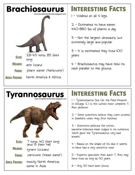 Dinosaur fact and writing.PDF - Google Drive Dino Facts, Dinosaur Facts For Kids, Dinosaur Information, Dinosaur Crafts Preschool, Dinosaur Types, Crown Printable, Learning French For Kids, Dinosaur Facts, Dinosaur Printables